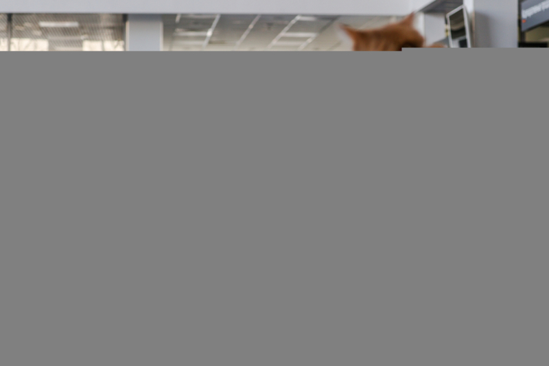 Весть мир&nbsp;&mdash; утиль: Минпромторг устроит &laquo;кузькину мать&raquo; российскому авторынку