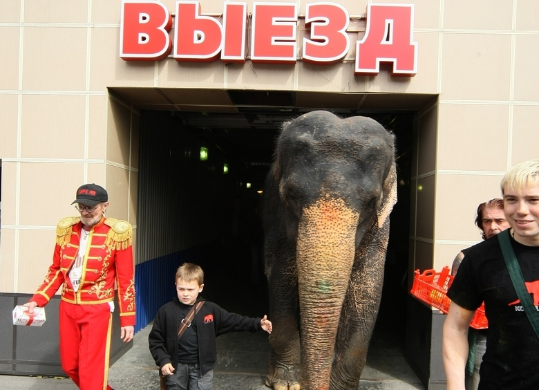 Не&nbsp;ходите, дети, в&nbsp;Африку гулять: изучаем планы автоэкспансии России в&nbsp;Нигерию